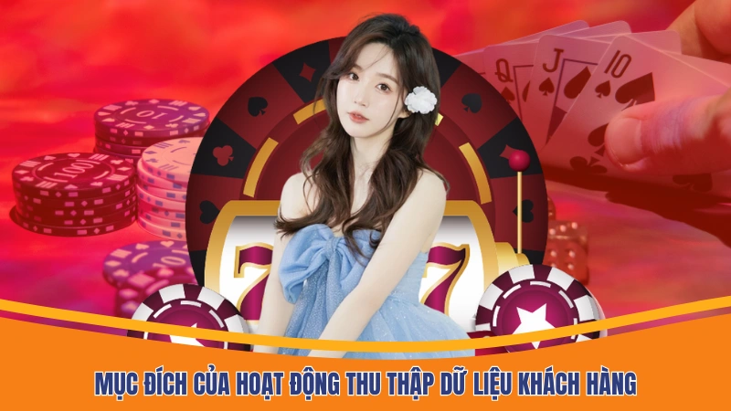Mục đích của hoạt động thu thập dữ liệu khách hàng Mục đích của hoạt động thu thập dữ liệu khách hàng