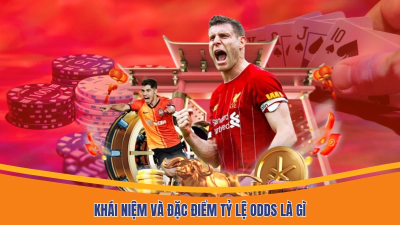 Khái niệm và đặc điểm tỷ lệ Odds là gì Khái niệm và đặc điểm tỷ lệ Odds là gì