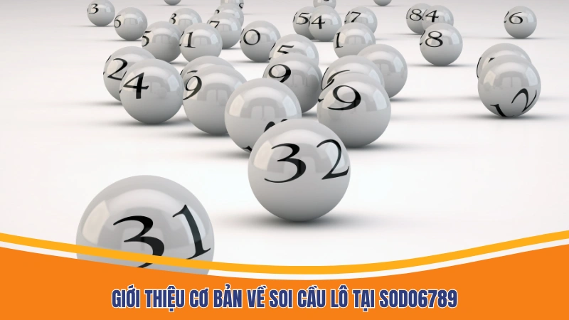 Giới thiệu cơ bản về soi cầu lô tại Sodo6789 Giới thiệu cơ bản về soi cầu lô tại Sodo6789